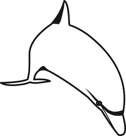 dolphin front view outline cliprt