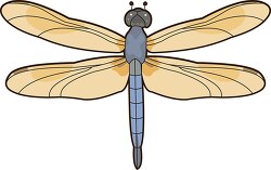 dragonflies swift long winged skimmer dragonfly clipart