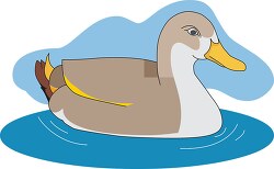 Duck Swimming in Pond Clipart