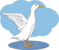 ducks flapping wings clipart