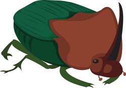 dung beetle insect clipart