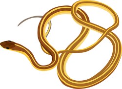 eastern ribbon snake clipart