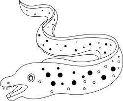 eel marine life black white outline clipart