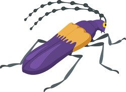 elderberry longhorn insect clipart