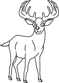elk with large anters outline cliprt