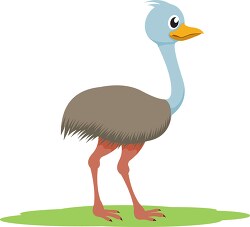 emu bird clipart