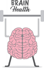 exercise maintain brain health gray color
