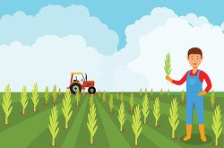 famer in the field looking at crops clipart