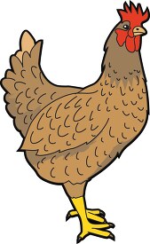 farm chicken clipart