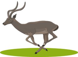 fast running gerenuk antelope clipart