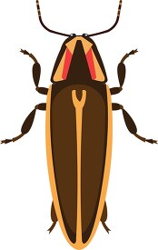 firefly insect clipart