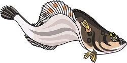 flat fish 13