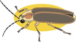 flies firefly clipart 726