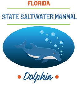 florida state saltwater mammal dolphin vector clipart image