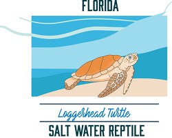florida state saltwater reptile loggerhead turtle vector clipart