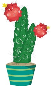 flowering cactus in a planter box clipart