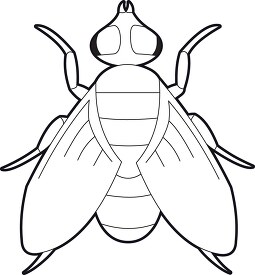 fly big eyes insect black outline clipart