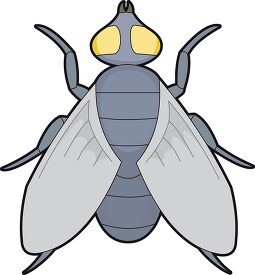 fly with yellow eyes insects clipart