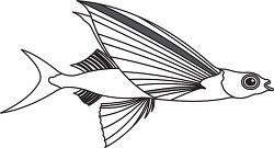 flying fish black outline clipart