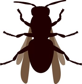 flying hornet insect silhouette clipart