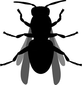 flying hornet insect silhouette clipart 718