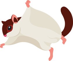 flying squirrel clipart