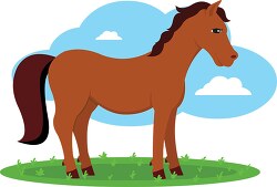 friendly brown horse standing in a field clipart
