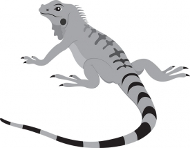 friendly orange iguana lizard reptile educational clip art graph