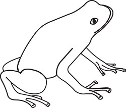 frog black white outline clipart