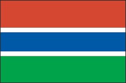 Gambia flag flat design clipart