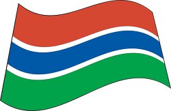Gambia flag flat design wavy clipart