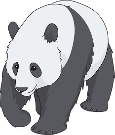 giant panda clipart