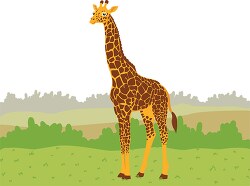 giraffe african safari clipart