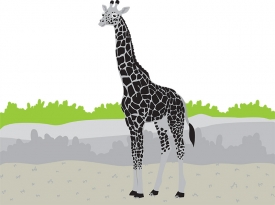 giraffe gray color