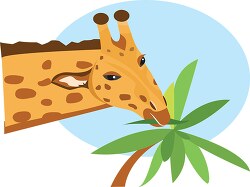 giraffe stretching neck to reach plant leaf