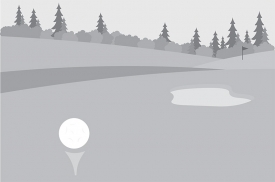 golf ball tee golf course gray color