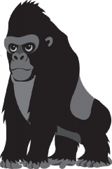 gorilla gray color 2a