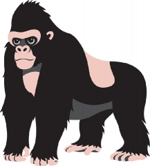 gorilla gray color