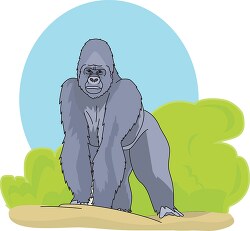 Gorilla in Bushes Clipart