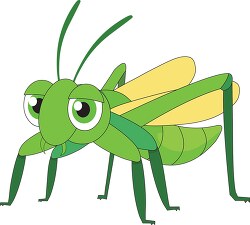 Grasshopper Insect cartoon style Clipart