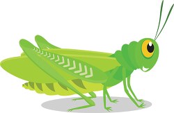 grasshopper insect sideview clipart