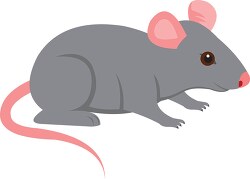 Gray mouse pink ears clipart