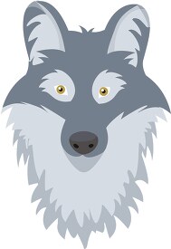 gray wolf head vector clipart