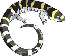 gray yellow salamander clipart