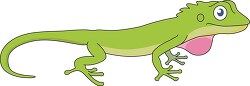 green anole reptile