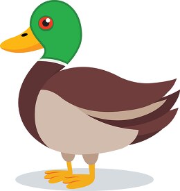 green brown duck clipart