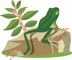 green frog sitting on rock clipart