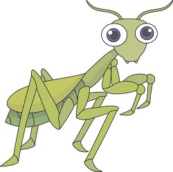 green praying mantis insect clipart