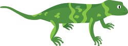green salamander amphbian vector clipart