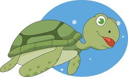 green sea turtle marine life 045